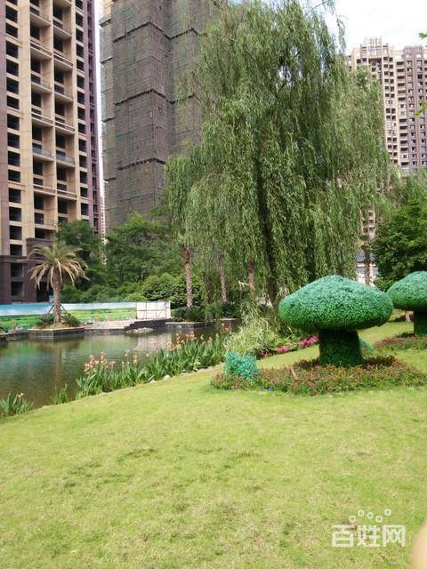 【图】- (出售)东坡威尼斯 27楼、3室2厅2卫证